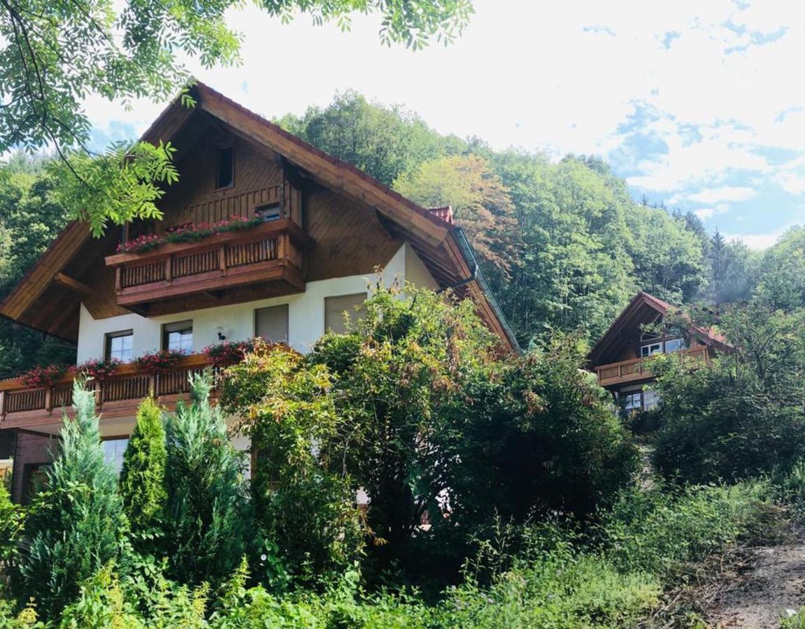 Haus Sigmund Apartment Oberharmersbach Exterior photo